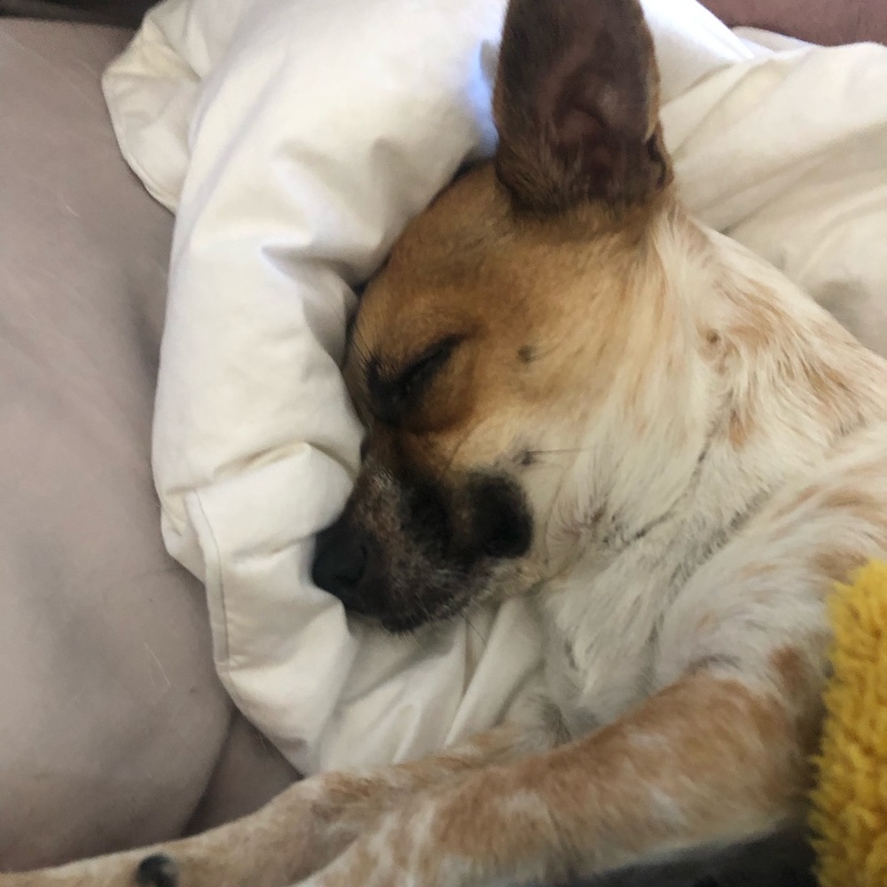 Meet your Posher, Vicki